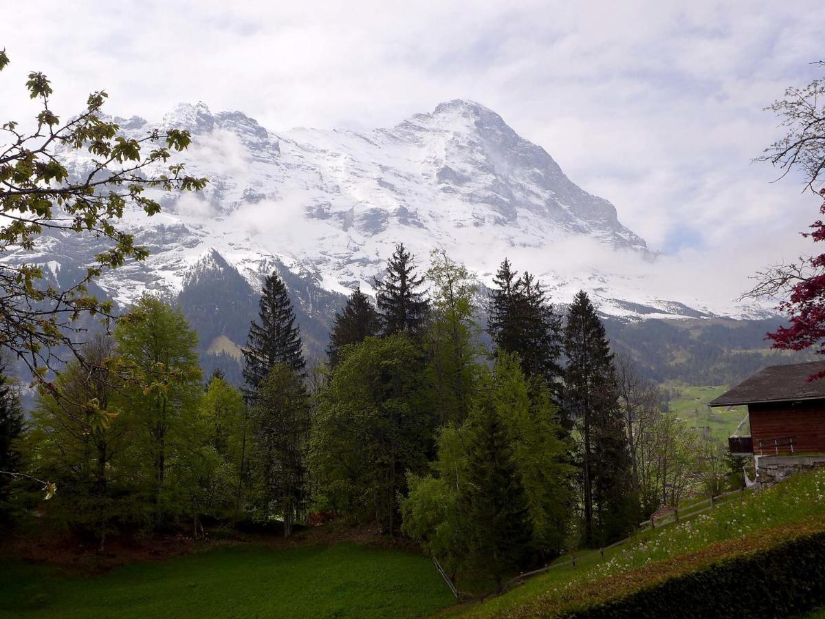 Apartment Chalet Jrene By Interhome Grindelwald Exterior photo